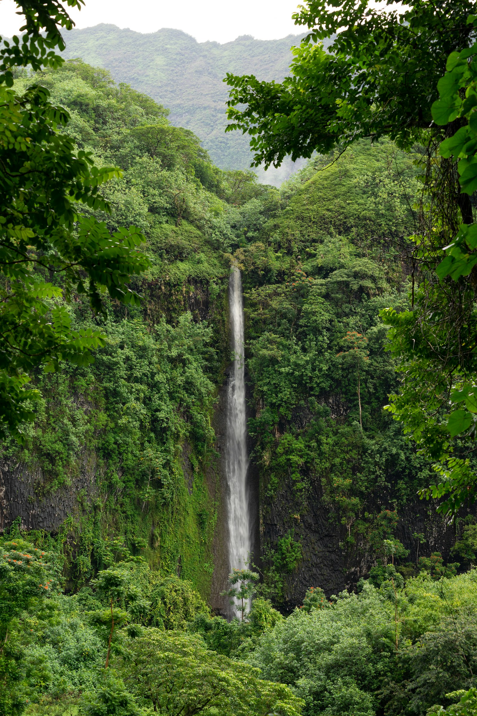 Waterfall framed by lush greenery in Tahiti